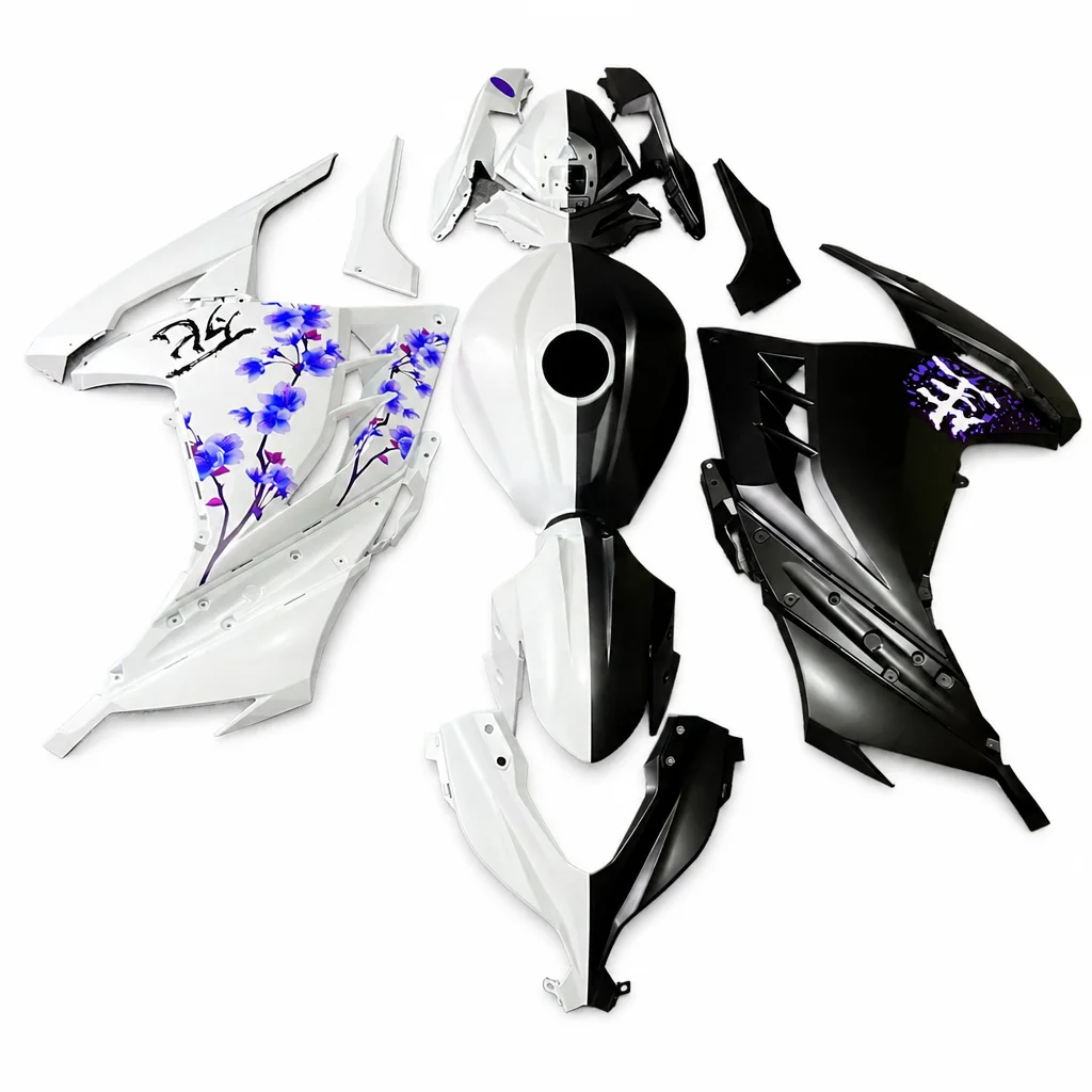 Fairing set Kawasaki Ninja 300 2013-2017